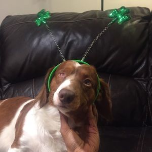 Meet your Posher, Malissa